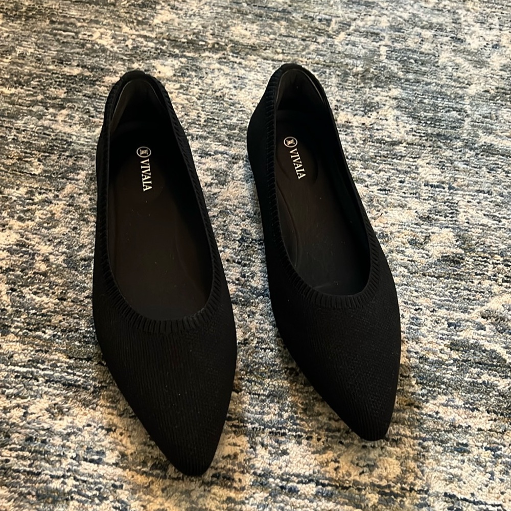 COPY - Vivaia Pointed-Toe Ballet Flats (Aria 5°) - Black - Size 41.5 (US 10)